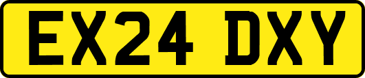 EX24DXY