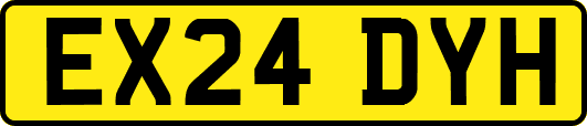 EX24DYH