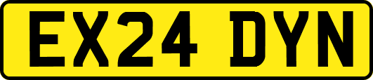 EX24DYN