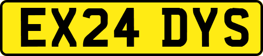 EX24DYS