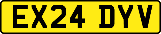 EX24DYV