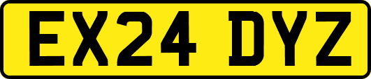 EX24DYZ