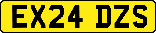 EX24DZS