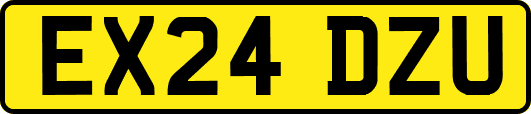 EX24DZU