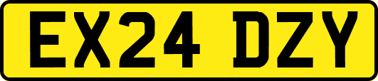 EX24DZY