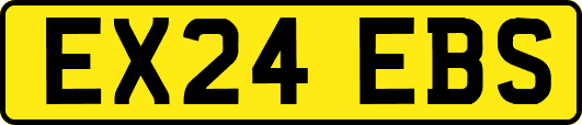 EX24EBS