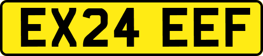 EX24EEF