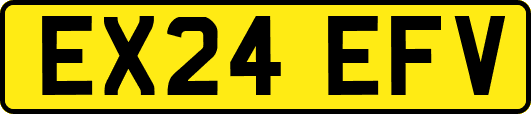EX24EFV