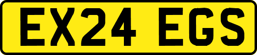 EX24EGS