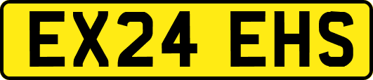 EX24EHS