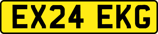 EX24EKG