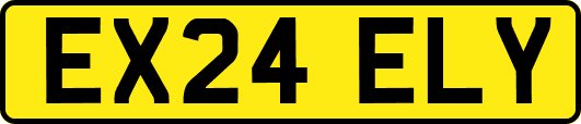 EX24ELY