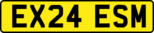 EX24ESM