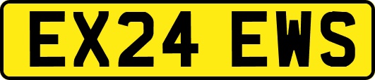 EX24EWS