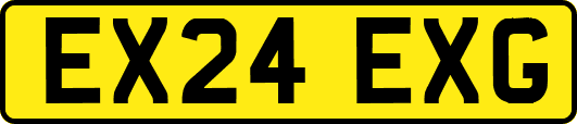 EX24EXG