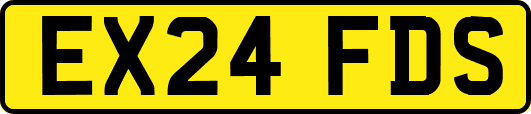 EX24FDS
