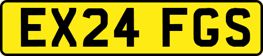 EX24FGS