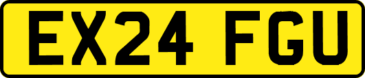 EX24FGU