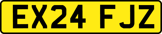 EX24FJZ