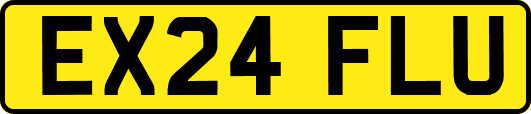 EX24FLU
