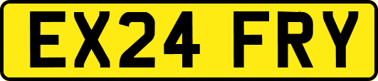 EX24FRY