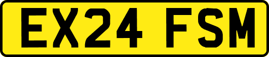 EX24FSM