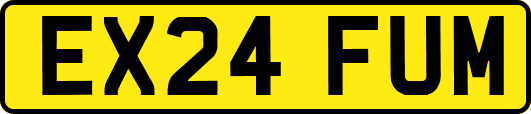 EX24FUM