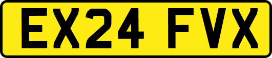 EX24FVX