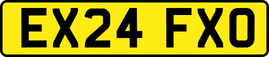 EX24FXO