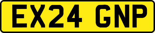 EX24GNP