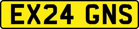 EX24GNS