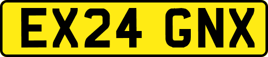 EX24GNX