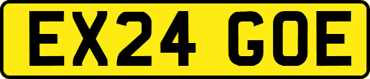 EX24GOE