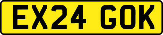 EX24GOK