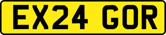 EX24GOR