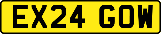 EX24GOW