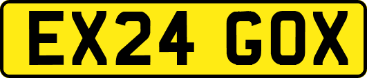 EX24GOX