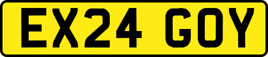 EX24GOY