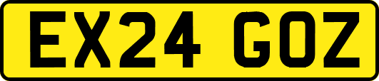 EX24GOZ