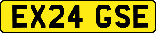 EX24GSE