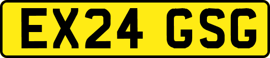 EX24GSG