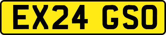 EX24GSO