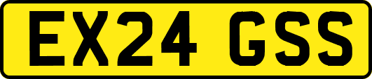 EX24GSS