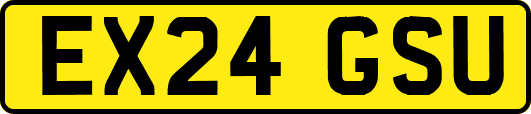 EX24GSU