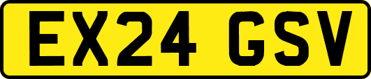 EX24GSV