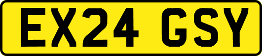 EX24GSY