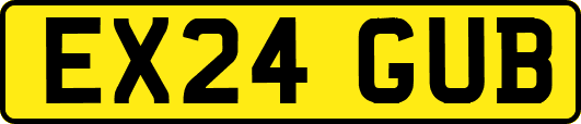EX24GUB