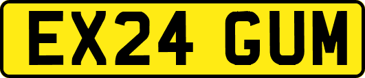 EX24GUM