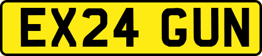 EX24GUN