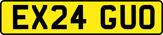 EX24GUO